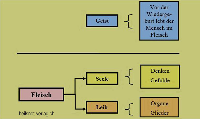 Wandel im Fleisch, vor der Wiedergeburt