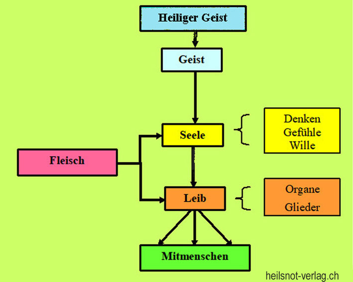 Der Heilige Geist lebt nun in ihrem Geist; sie sind damit geistig lebendig